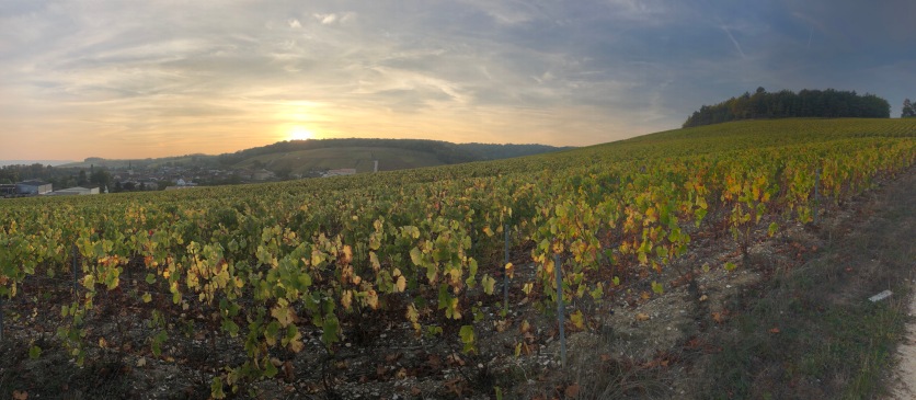 A sunset in Champagne